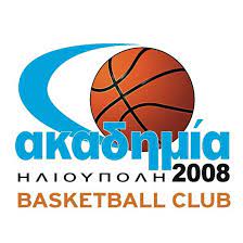 ΑΚΑΔΗΜΙΑ 2008